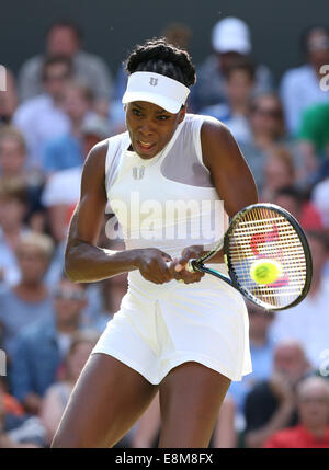 Venus Williams, USA, Wimbledon Championships 2014, Grand Slam Tennisturnier, London, England, Stockfoto