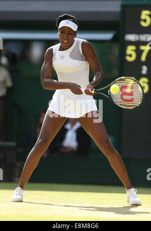 Venus Williams, USA, Wimbledon Championships 2014, Grand Slam Tennisturnier, London, England, Stockfoto