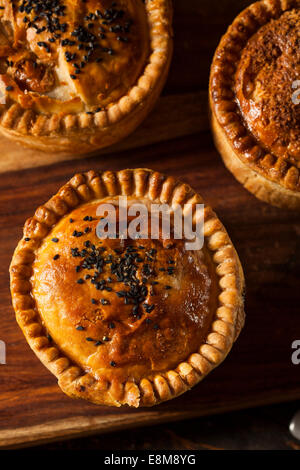 Hausgemachte Chicken Pot Pie verzehrfertige Stockfoto