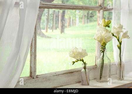 Blumen in einer antiken Flaschen sitzen auf einem Fensterbrett angezeigt Stockfoto