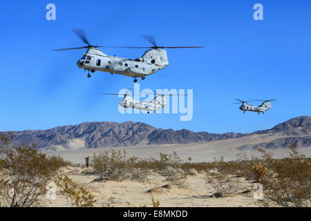 11. Dezember 2013 - überfliegen US Marinekorps CH-46E Sea Knight Transporthubschrauber Camp Wilson bei der Marine Corps Air Ground Co Stockfoto