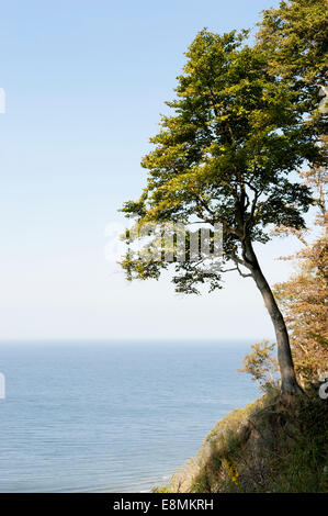 Gosań Hill in der Nähe von Misdroy, Woiwodschaft Westpommern, Polen Stockfoto