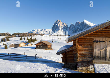 Hütten auf Seisser Alm, Italien, Sasslong Berg im Hintergrund Stockfoto