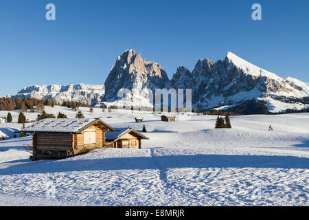 Hütten auf Seisser Alm, Italien, Sasslong Berg im Hintergrund Stockfoto