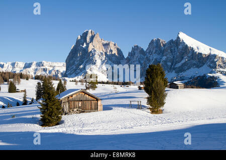 Hütten auf Seisser Alm, Italien, Sasslong Berg im Hintergrund Stockfoto