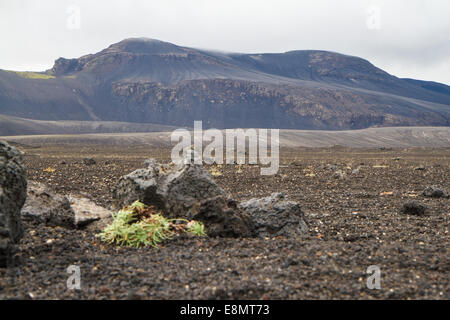 Vulcano Hekla im Süden Islands Stockfoto