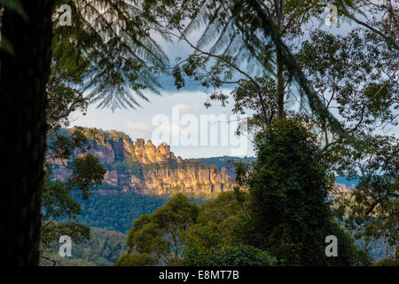 Bushwalking in den Blue Mountains in der Nähe von Katoomba, Australien. Mount Solitary und das Schloss. Stockfoto