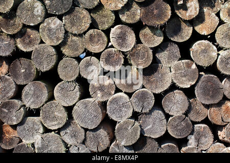 Alten Holzstapel Stockfoto