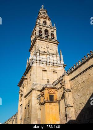 Turm der Moschee-Kathedrale Stockfoto