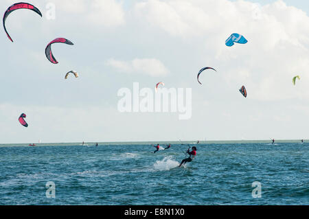 Hayling Island, Großbritannien. 11. Oktober 2014. Jungfrau Kite Surfing Armada an der Südküste der UK in Hayling Island, Hampshire. 11. Oktober 2014. Mehr als 250 Kitesurfer versammeln, um ein eine Meile zu absolvieren, um den Guinness-Weltrekord für die größte Parade der Kitesurfer jemals zusammengestellt zu brechen versucht. Bildnachweis: Rob Wilkinson/Alamy Live-Nachrichten Stockfoto