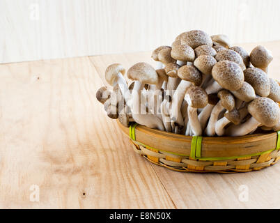 Braun Buche, Pilze Buna Shimeji in einem rustikalen Holztisch. Stockfoto