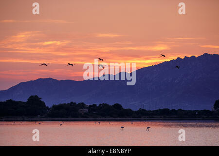 Wunderschönen Sonnenaufgang auf der Insel Sardinien Stockfoto