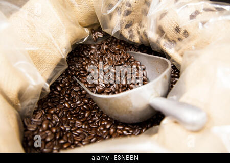 Kaffeebohnen in ein Säckchen mit Schaufel Stockfoto