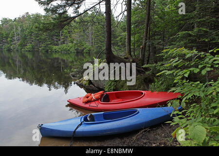 Kajaks am Wald See Stockfoto