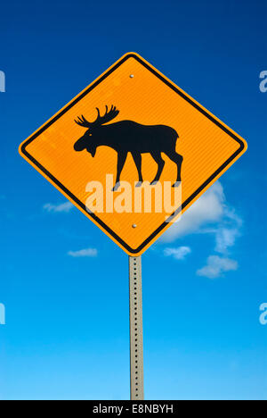 Moose Crossing Zeichen Stockfoto