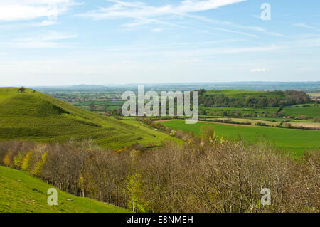 Cadbury Castle mit Glastonbury Tor in der Ferne Stockfoto