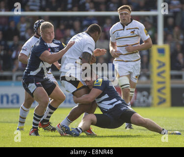 Manchester, größere Manchester, UK. 5. Oktober 2014. Monatsname} 52014, Wespen Nr. 8 NATHAN HUGHES wird gehalten von Verkauf Hooker MARC JONES und Prop ROSS HARRISON während der Sale Sharks - V-Wespen bei der AJ-Bell-Stadion Match: Steve Flynn-ZUMA Press © Steve Flynn/ZUMA Draht/Alamy Live News Stockfoto