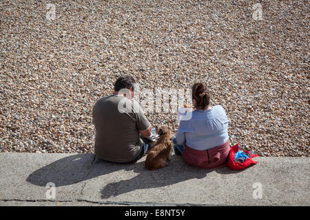 Paar, Fish &amp; Chips zu essen, am Rande von einem Kiesstrand mit einem Hund auf dazwischen sitzen. Stockfoto