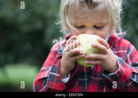 Kleinkind Jungen Essen Apfel im Obstgarten Stockfoto