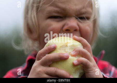 Kleinkind Jungen Essen Apfel im Obstgarten Stockfoto