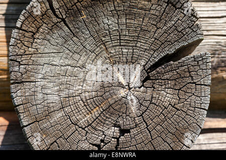 Textur der verwitterten rissige Ende des Protokolls des alten Holzhauses Stockfoto