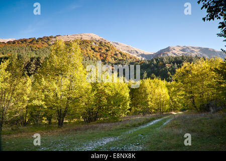 die herbstliche Berglandschaft mit bunten Wald Stockfoto