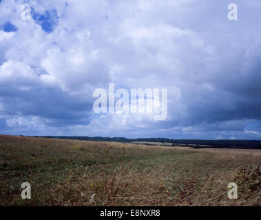 Ein Blick über Martin Down Teil ein National Nature Reserve The Dorset Downs in der Nähe von Cranborne England Stockfoto