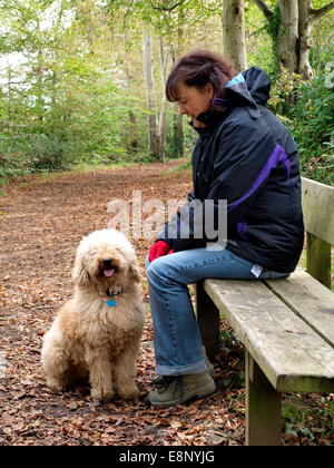 Frau saß auf einer öffentlichen Bank entlang einer Strecke Wald im Herbst, Fremington, Devon, UK Stockfoto