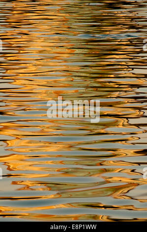 Bellevue Innenstadt Park mit Teich und abstrakten Überlegungen bei Sonnenuntergang Stockfoto
