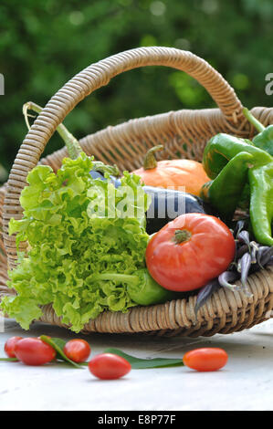 Gartengemüse in einem Korb auf einem Tisch Stockfoto