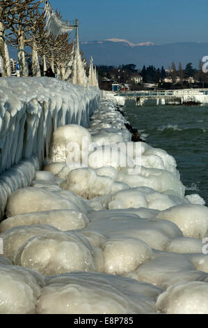 Stabilisierung der eisbedeckten Bank am Genfer See, Versoix bei Genf, Kanton Genf, Schweiz Stockfoto