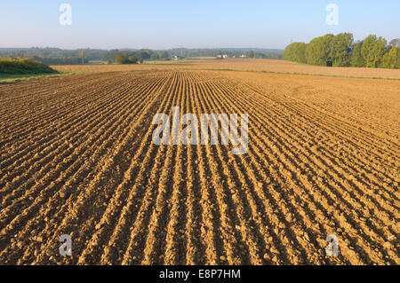 frisch gepflügten Land Feldes Furchen bilden Stockfoto