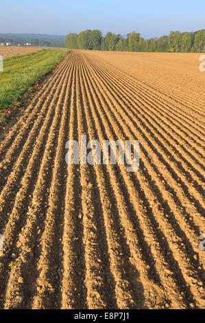 frisch gepflügten Land Feldes Furchen bilden Stockfoto