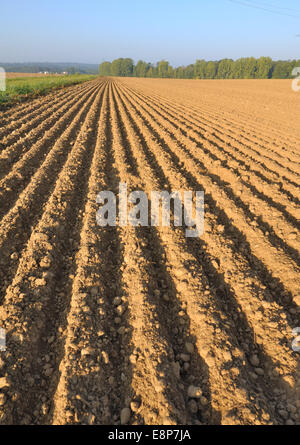 frisch gepflügten Land Feldes Furchen bilden Stockfoto