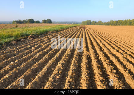 frisch gepflügten Land Feldes Furchen bilden Stockfoto