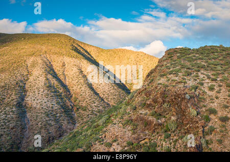 Die tief erodierten Flanken des Montana de Guaza aus der Wanderweg auf dem Plateau des Mesas de Guaza, Los Cristianos, Teneriffa Stockfoto
