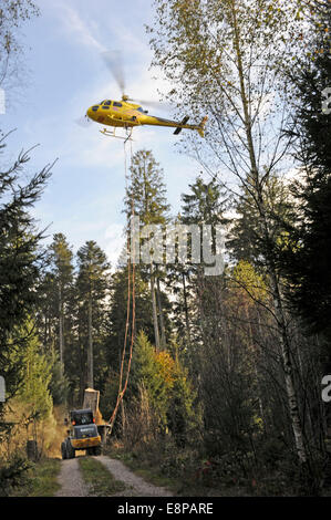 Ein Hubschrauber ist Wald im Schwarzwald, Süddeutschland, am 10. Oktober 2010 Kalkung. Stockfoto