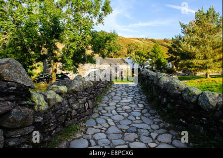 alten Lastesel-Brücke bei Watendlath, Borrowdale, Nationalpark Lake District, Cumbria, England UK Stockfoto