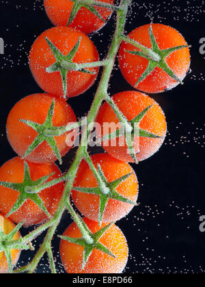 Reihe von Cherry-Tomaten im Wasser Stockfoto