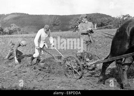 Das Nazi-Propagandafilm zeigt deutsche Soldaten, die im Oktober 1938 in Leitmeritz, Sudetenland (heute Litomerice, Tschechische Republik), ein Feld pflügen. Der Originaltext eines Nazi-Nachrichtenberichts auf der Rückseite des Bildes lautet: "Deutsche Soldaten helfen Sudetens deutschen Bauern bei Leitmeritz." Fotoarchiv für Zeitgeschichtee - KEIN KABELDIENST Stockfoto