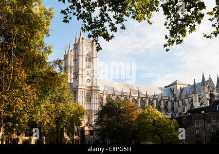 Westminster Abbey in London im Herbst Stockfoto