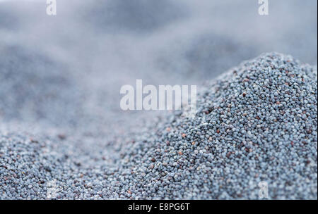 Mohnöl Hintergrund oder Textur (detaillierte Nahaufnahme erschossen) Stockfoto