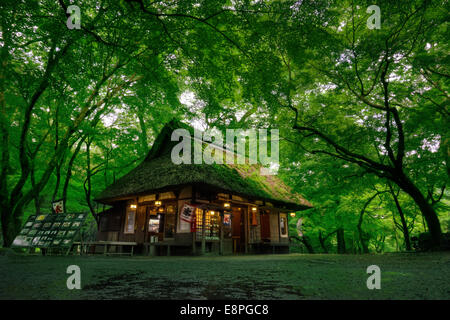 Das traditionelle kleine alte Mizuya Chaya Teehaus im Nara Park, Japan im üppigen Wald in der Nähe des Kasuga Grand Shrine Stockfoto