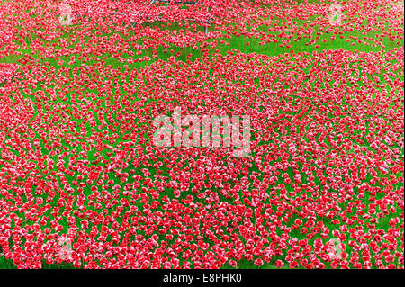 Keramik Mohn in den Graben rund um den Tower of London, London, UK. Die Mohnblumen sind ein Denkmal für die gefallenen im 1. Weltkrieg Stockfoto