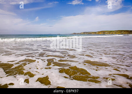 Flaches Wasser auf das Vorland von Newgale Beach, Pembrokeshire. Stockfoto