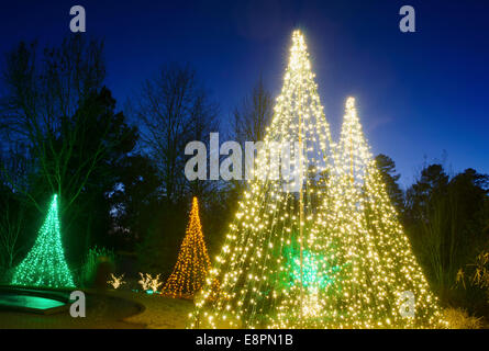 Outdoor-Weihnachtsbäume wurden erstellt durch die Dekoration mit roten, weißen und grünen Lichter und gegen strahlend blauem Himmel geschossen. Stockfoto