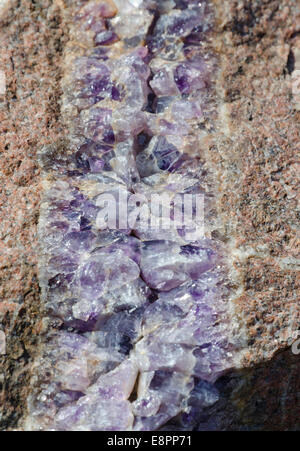 Amethyst Druse über Beige rock Stockfoto