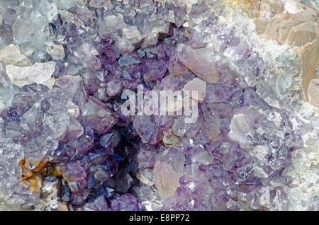 Amethyst Druse über Beige rock Stockfoto