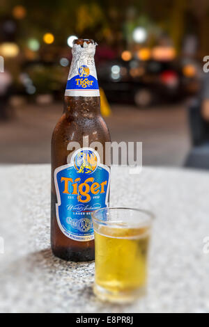 Lokalen malaysischen Tiger Lagerbier, Miri, Malaysia Stockfoto