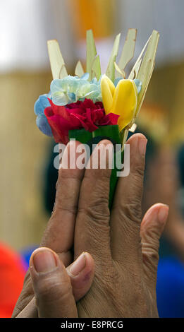 Close-up Finger umklammern Blume im Gebet Ubud Bali Indonesien Stockfoto